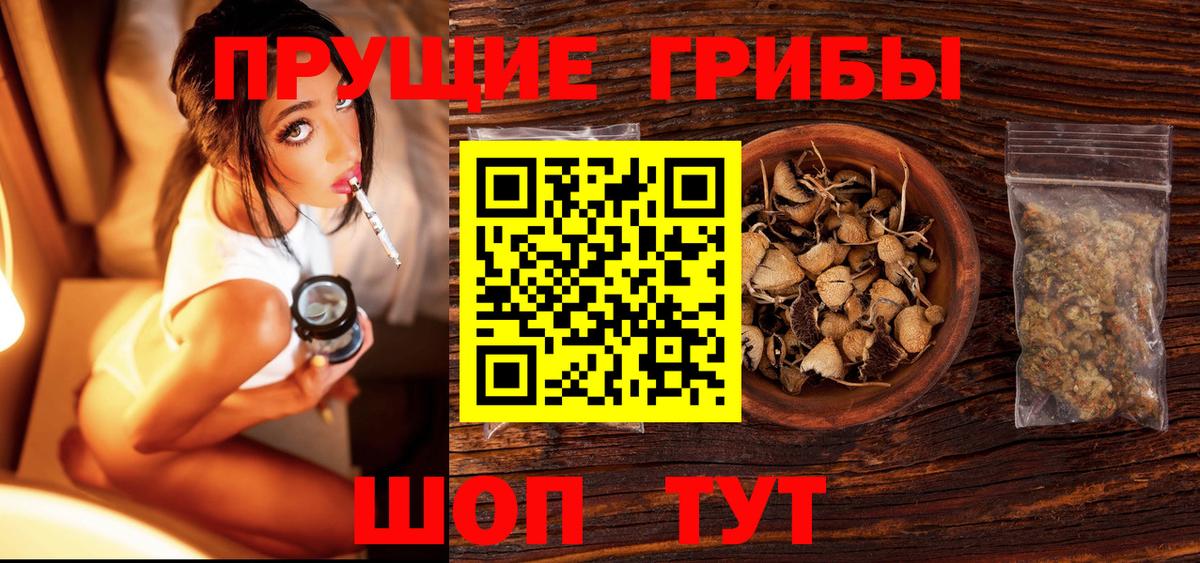 Псилоцибиновые грибы прущие грибы Мелеуз