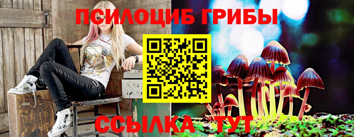 Галлюциногенные грибы прущие грибы  Псилоцибиновые грибы мицелий  Вход с VPN  Мелеуз 